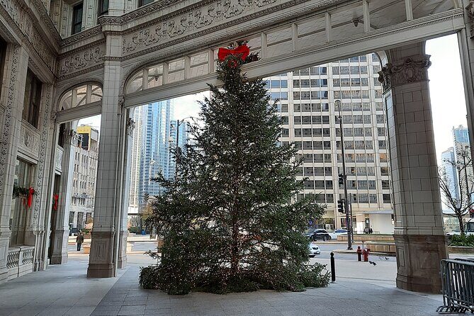 Chicago Seasonal Stroll Walking Tour of Holiday Attractions - The Sum Up: Who Will Love This Tour?
