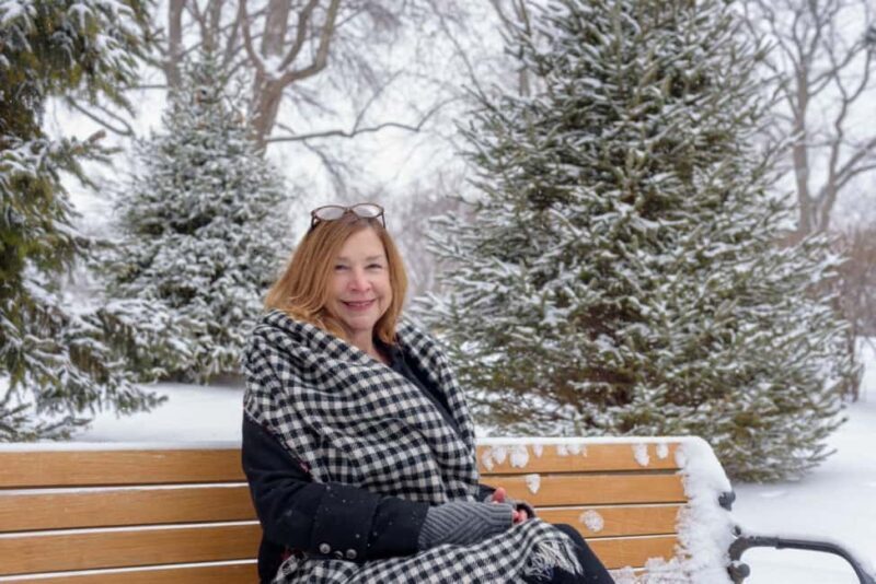 Chicagos Festive Lights: Private Magical Christmas Journey - The Sum Up