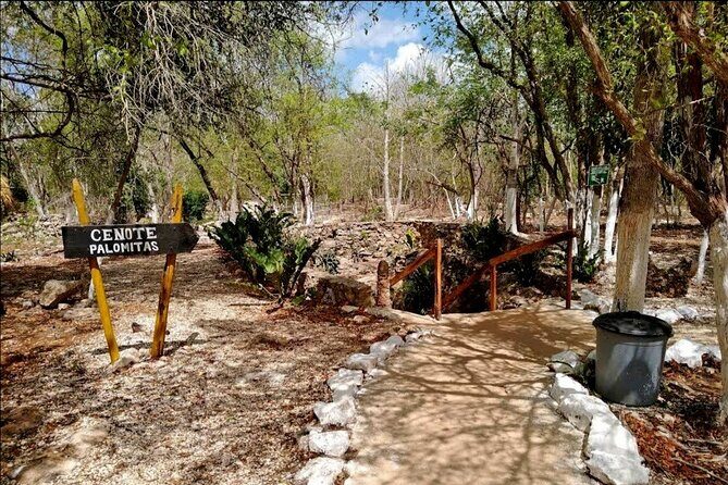 Chichen Itza Ruins and 3 Cenotes Private Transportation - The Sum Up: Who Should Consider This Tour?