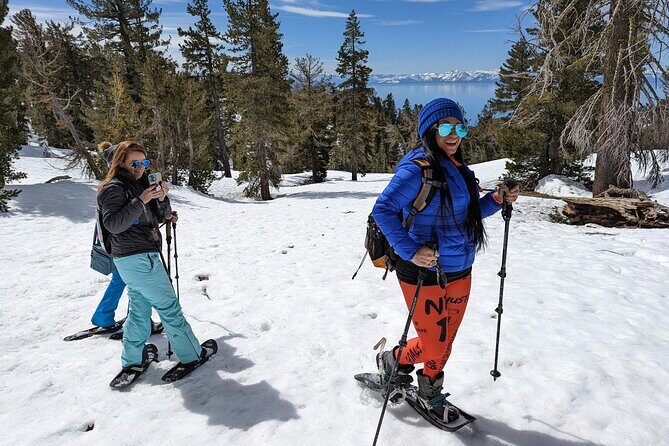 Chickadee Ridge Beginner Snowshoe Activity - An In-Depth Look at the Chickadee Ridge Snowshoe Tour
