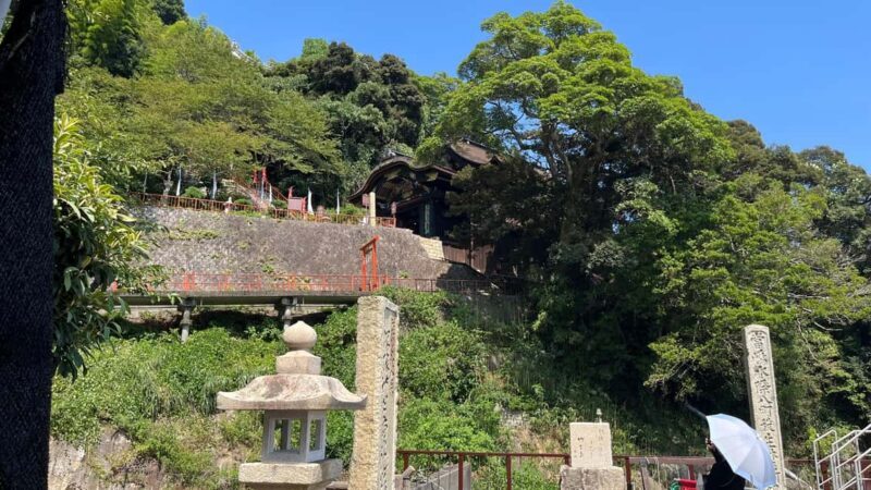 Chikubushima: Half-day private guided tour from Kyoto - Who Should Book This Tour?