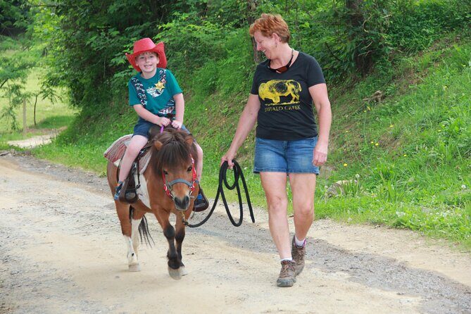 Children Mini Horse Rides - An Introduction to Mini Horses and What Makes This Tour Special