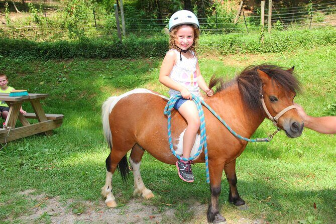 Children Mini Horse Rides - What the Experience Looks Like in Practice