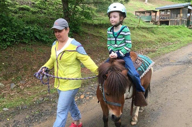 Children Mini Horse Rides - Final Thoughts: Is This Experience Right for You?
