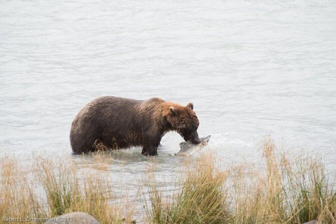 Chilkoot Wilderness and Wildlife Viewing - 6.5 hrs from Skagway - Who Will Love This Experience?