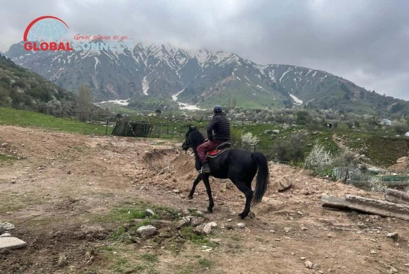 Chimgan Day Tour from Tashkent - Frequently Asked Questions