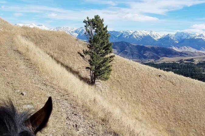 Chimney Rock Trail Ride - Practicalities and Considerations
