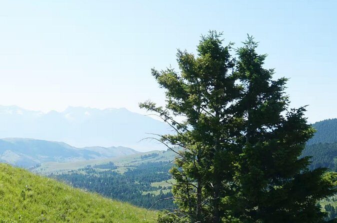 Chimney Rock Trail Ride - Value and Booking
