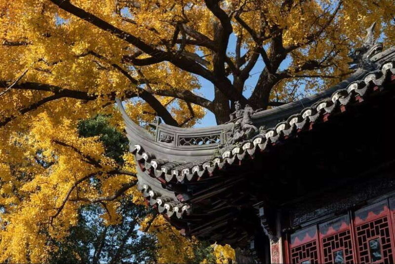 China Hollywood and Yiwu-the offline Temu commercial heaven - Key Points