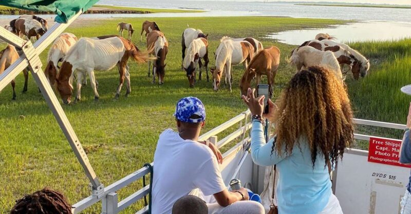 Chincoteague: Assateague Island Sunset Boat Cruise - FAQ