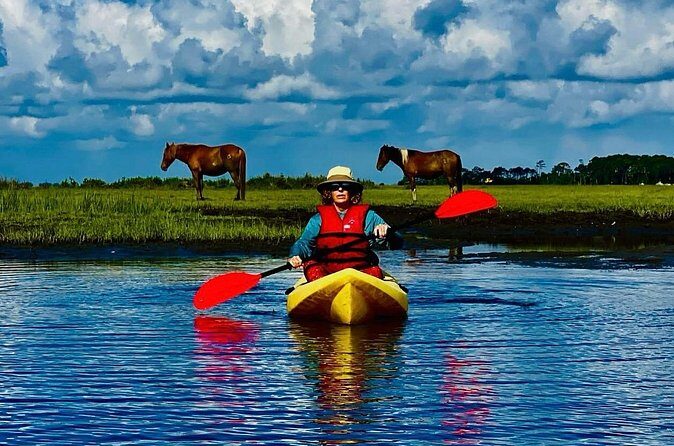 Chincoteague Canoe Rental around Assateague Island - What the Reviews Say