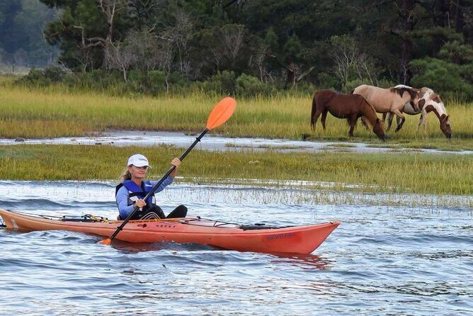 Chincoteague Kayak Rentals around Assateague Island - An In-Depth Look at Chincoteague Kayak Rentals around Assateague Island