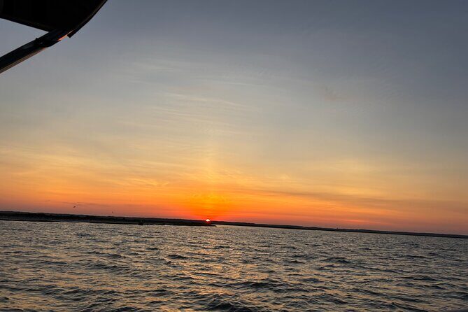 Chincoteague Wildlife Sunset Boat Tour - An In-Depth Look at the Chincoteague Wildlife Sunset Boat Tour