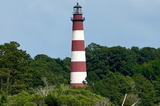 Chincoteague Wildlife Sunset Boat Tour - FAQ