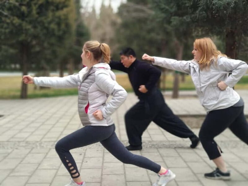 Chinese Kung Fu Experience Class in Beijing - Key Points