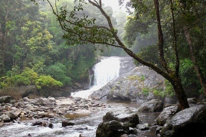 Chinnar Wild-life Visiting Tour (Eravikulam National Park) - The Sum Up