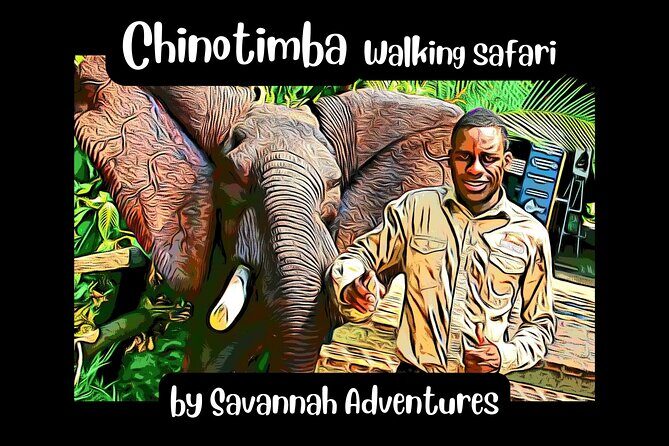 Chinotimba Township Tour in 4wd - Exploring the Victoria Falls Area in Style