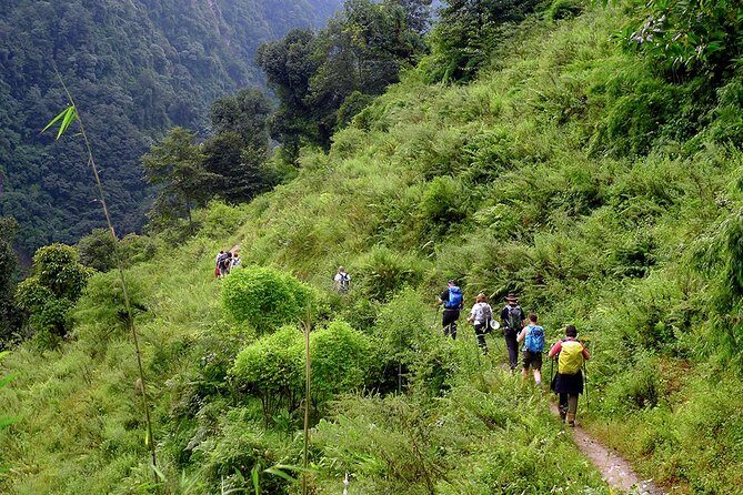 Chisapani - Nagarkot Trek Nepal - 3 Days - Authentic Experiences and Insights from Travelers