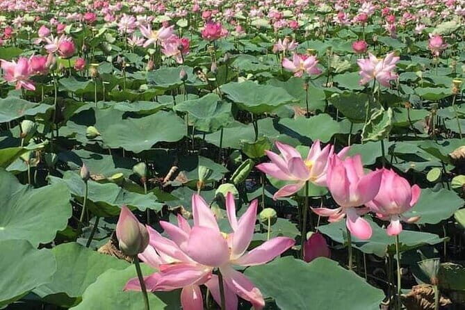 Chiso temple, Neang khmao, and Taprum temple historical site Tour - A Full-Day Journey into Cambodia’s Lesser-Known Temples