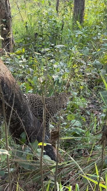 Chitwan: 2 Full day jungle walk with Canoeing all inclusive - A Complete Look at the Experience