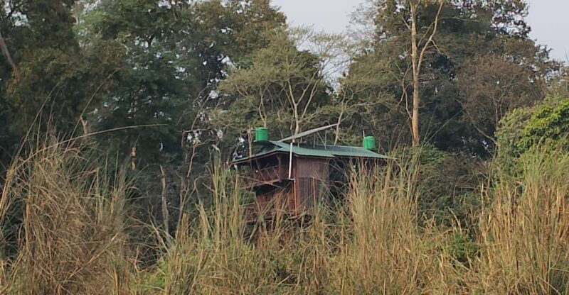 Chitwan: jungle One Night Towerstay in chitwan national park - Who Will Love This Tour?