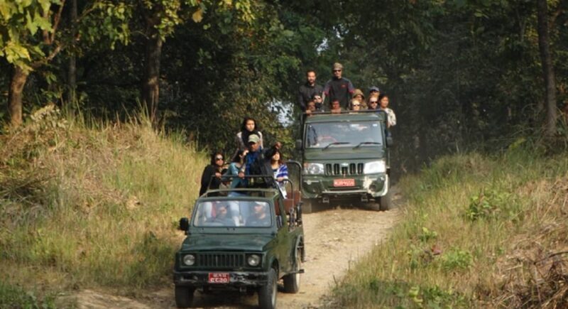 Chitwan Jungle safari 2 Nights 3 Days from Kathmandu - A Closer Look at the Chitwan Jungle Safari Experience
