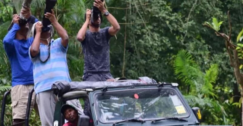 Chitwan Jungle safari 2 Nights 3 Days from Kathmandu - Who Is This Tour Best For?