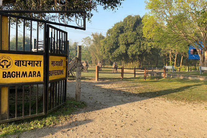 Chitwan Jungle Safari Tour - An In-Depth Look at the Itinerary