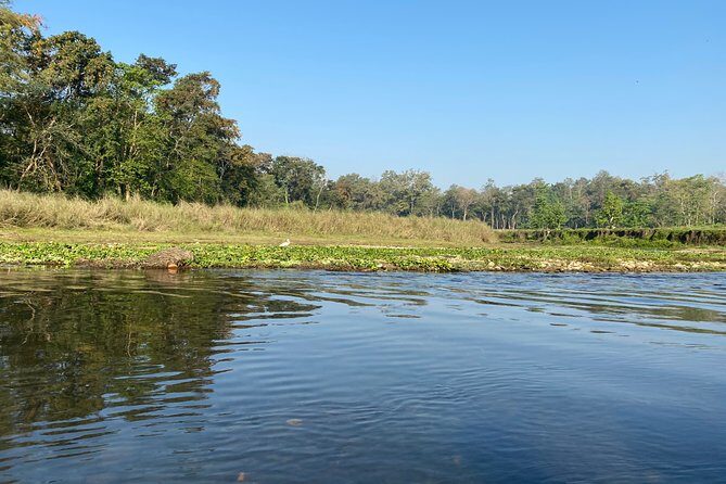 Chitwan Jungle Safari Tour - Pricing and Value