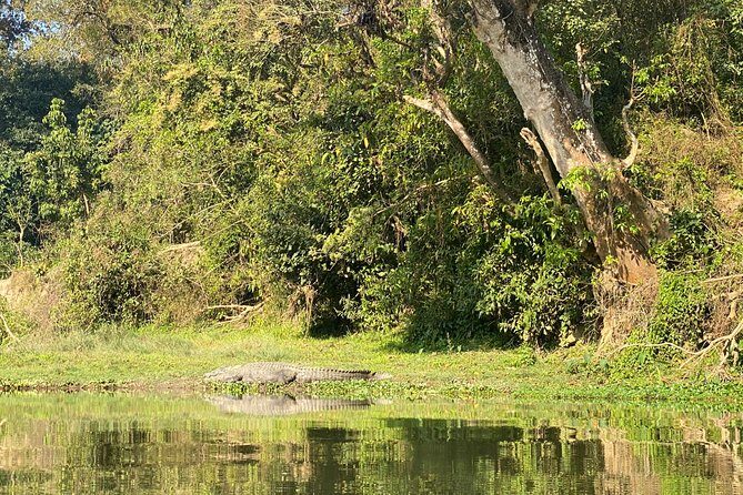 Chitwan Jungle Safari Tour - Final Thoughts: Is It Worth It?