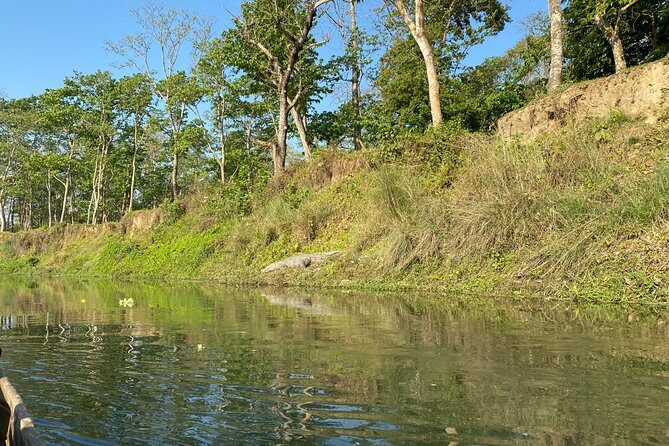 Chitwan Jungle Safari Tour - FAQs