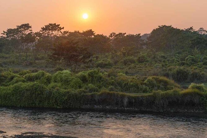 Chitwan National Park Jungle Safari Tours 3 days - An In-Depth Look at the 3-Day Chitwan Jungle Safari