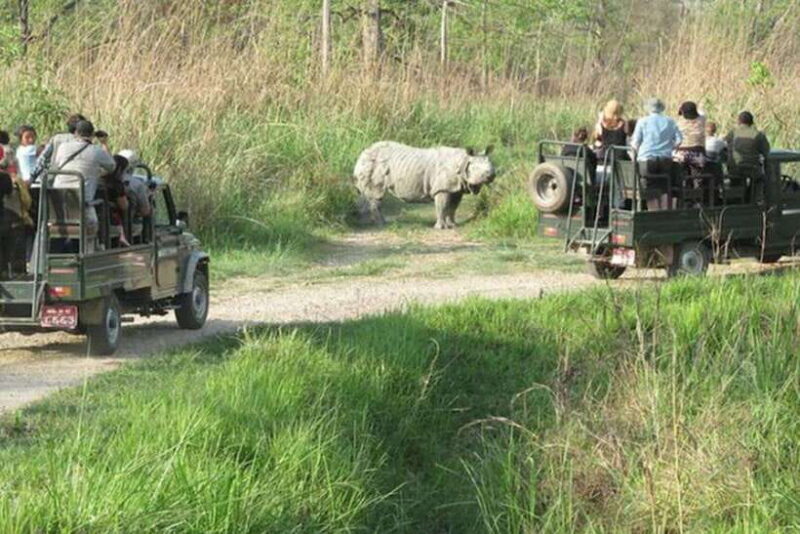 Chitwan National Park Tour - Introduction: An Invitation to Experience Nepal’s Wilderness