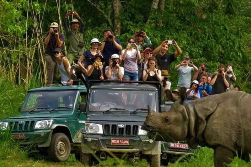 Chitwan National Park Tour - The Sum Up: Is the Chitwan National Park Tour Worth It?