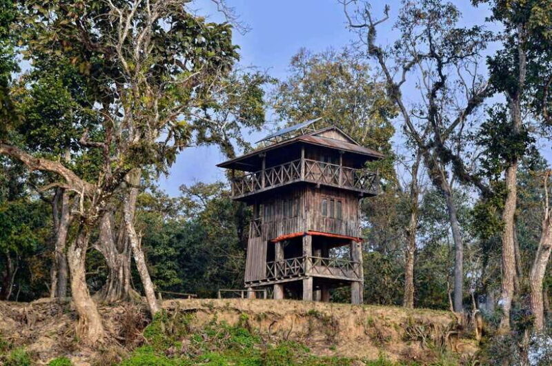 Chitwan National Park: Tower Night Stay with Nature Guide - Final Thoughts: Is It Worth It?