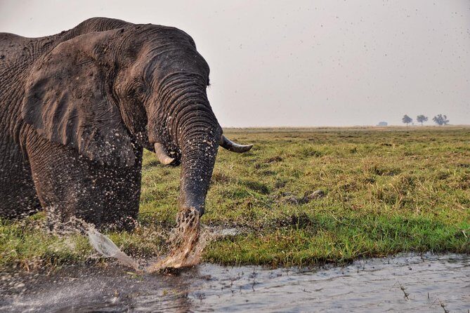chobe 3hr sunset boat cruise - The Itinerary: What to Expect on This Sunset Cruise