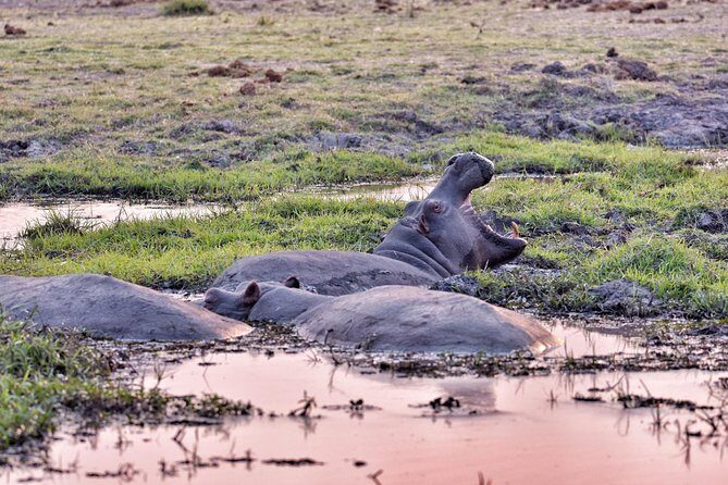 chobe 3hr sunset boat cruise - Frequently Asked Questions