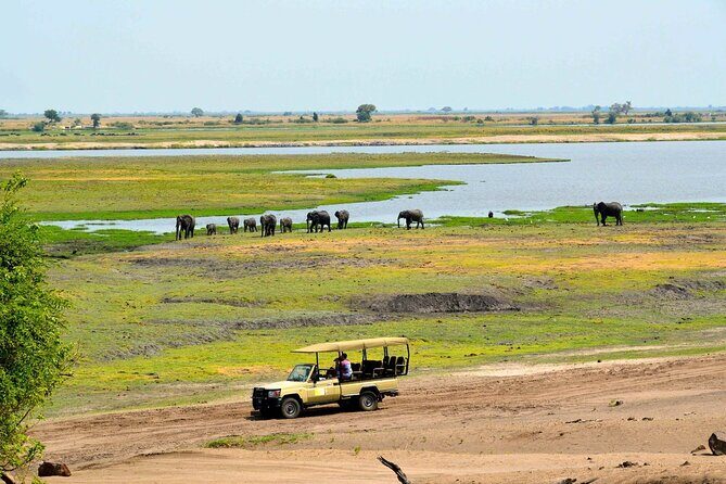Chobe Boat Cruise & Game Drive Day Trip From Livingstone - Who Is This Tour Best For?