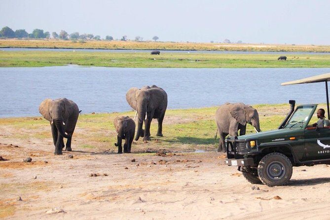 Chobe Boat Cruise & Game Drive Day Trip From Livingstone - FAQs