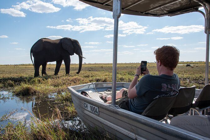 Chobe Day Trip - Key Points