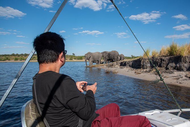 Chobe Day Trip - Who Will Love This Tour?