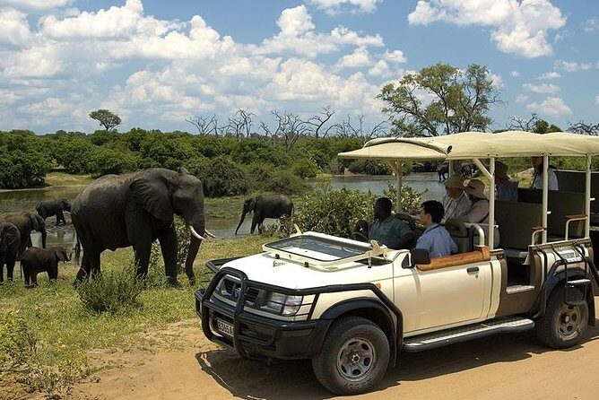 chobe Day trip - Key Points