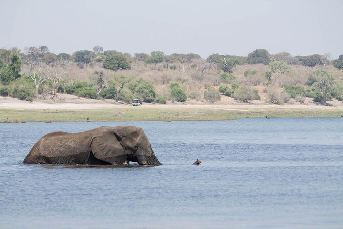 chobe Day trip - The Sum Up