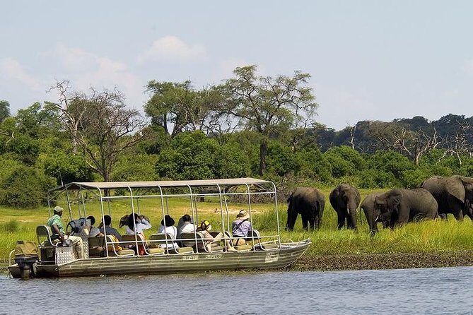 Chobe Day Trip from Livingstone - The Itinerary Breakdown