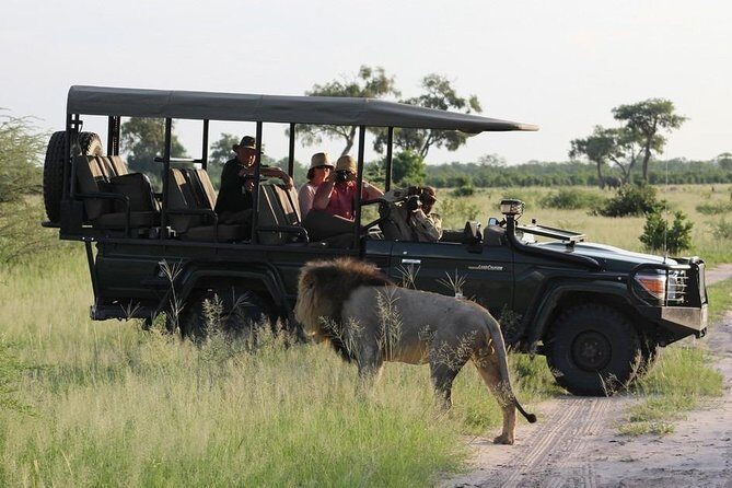 Chobe Day Trip from Livingstone - Cost and Value