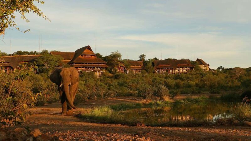 Chobe Day Trip From Livingstone Town - Key Points