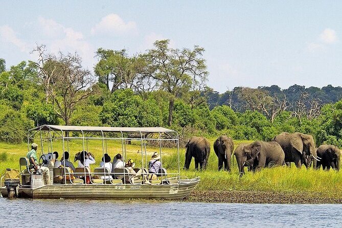 Chobe Day Trip From Victoria Falls - Key Points