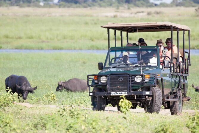 Chobe Day Trip From Victoria Falls - The Itinerary: A Closer Look