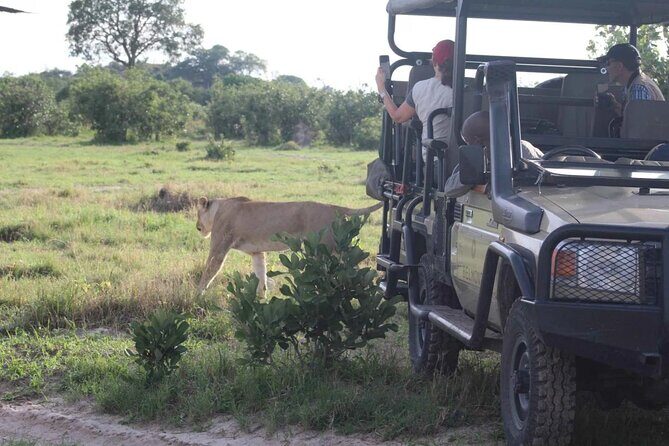 Chobe Day Trip From Victoria Falls - Who Will Love This Experience?