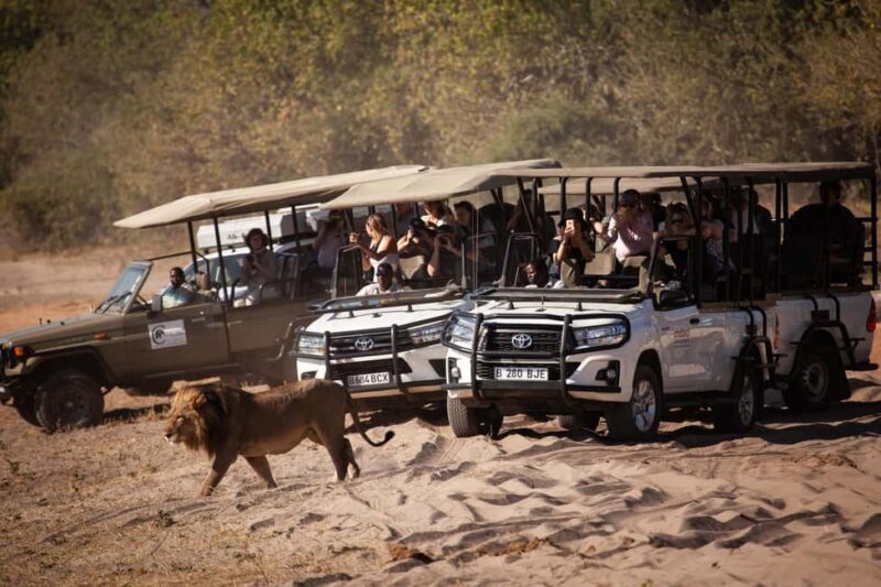 Chobe day trip from Victoria Falls - Key Points